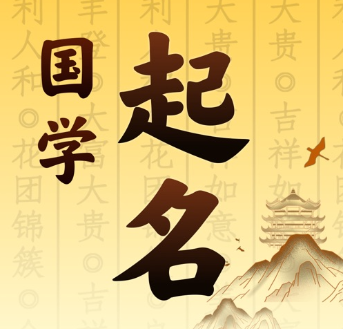 兴仁国学起名 人工起名一对一